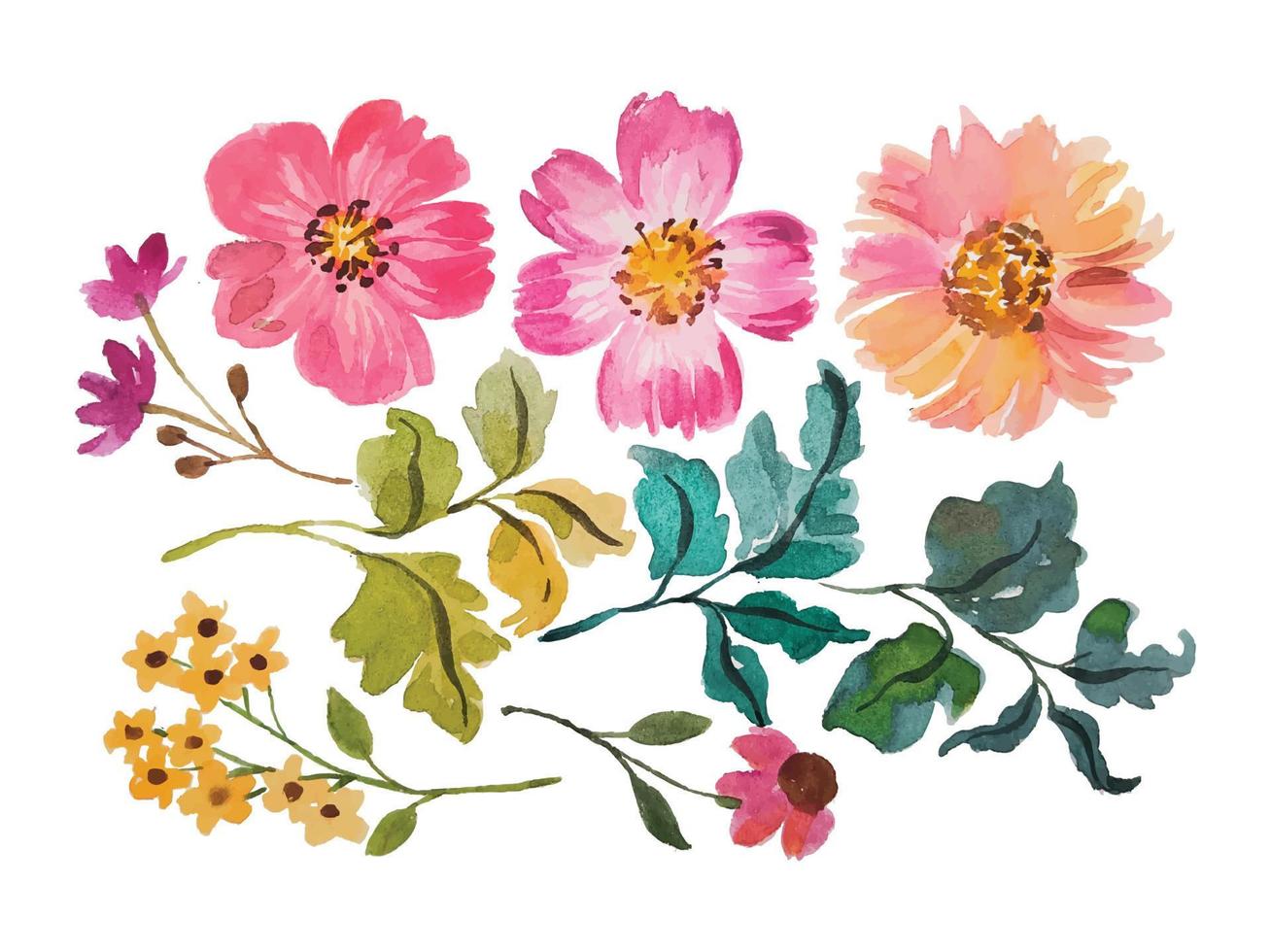 watercolor flower elements clipart vector