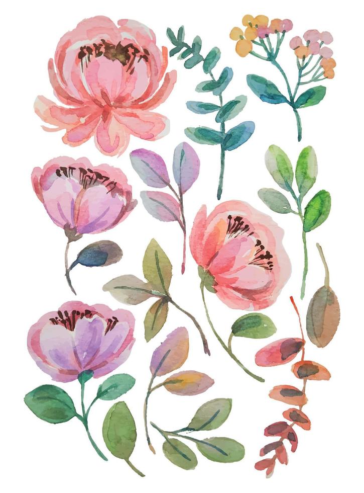 watercolor flower elements clipart vector