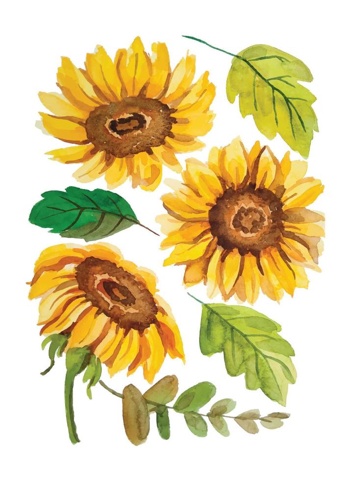 watercolor sun flower elements vector