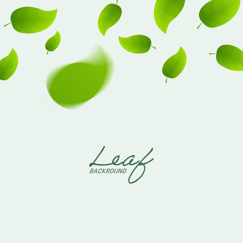 Realistic falling green leaves on square white banner. Flying green leaf background. vector