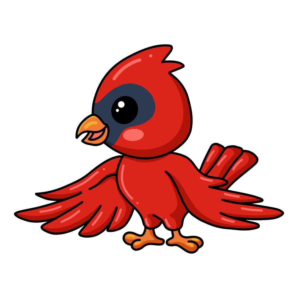 lindo bebé cardenal pájaro dibujos animados posando vector