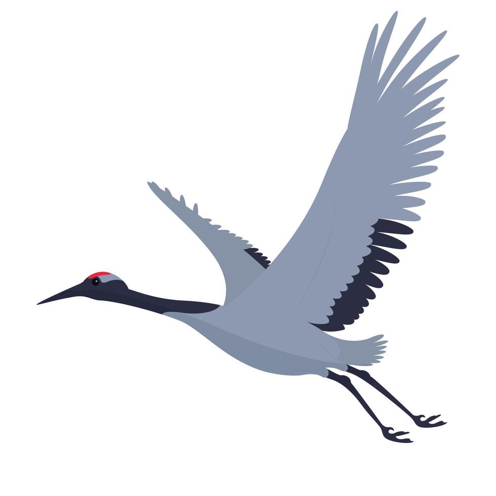 flying crane bird vector