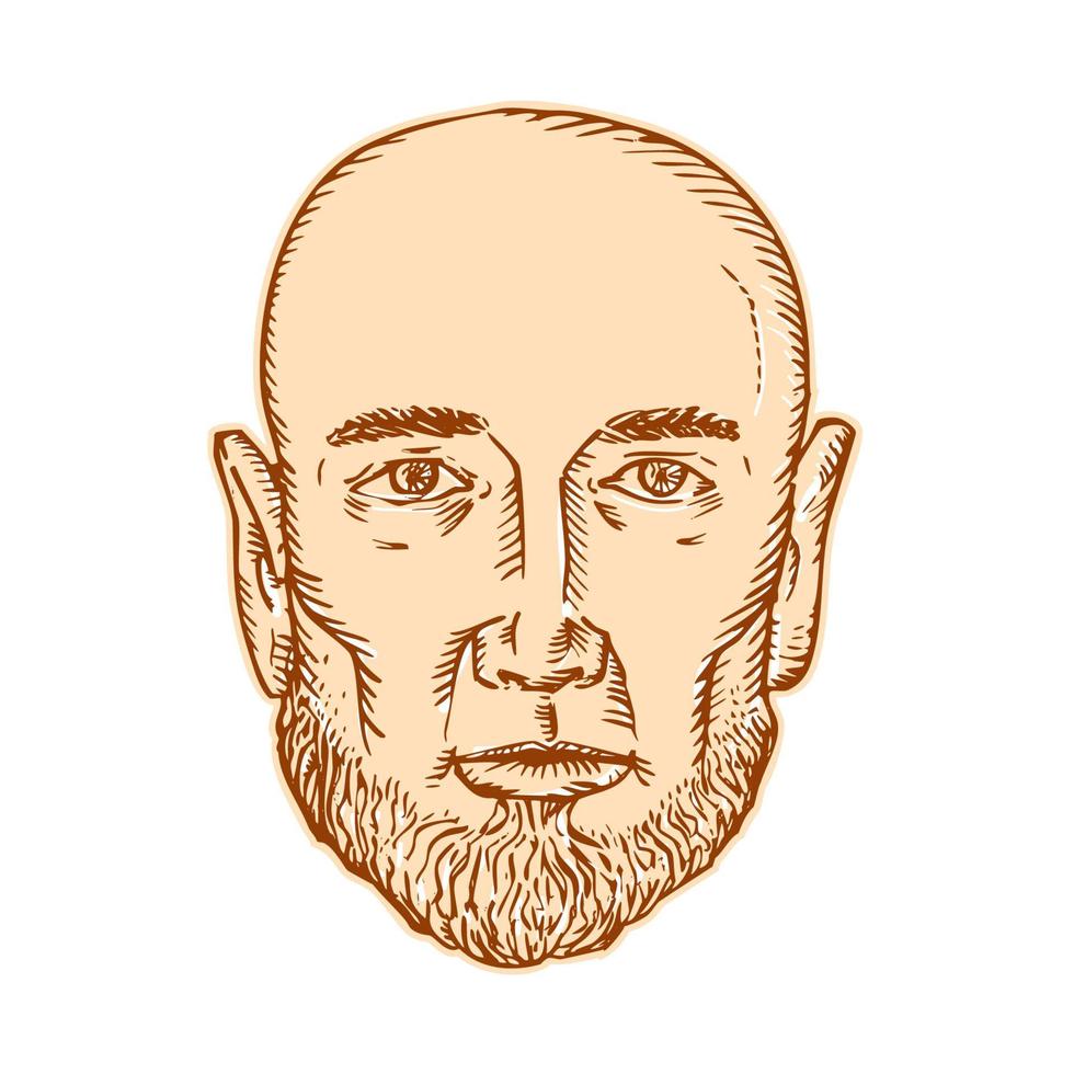 Male Bald Head Bearded Etching vector