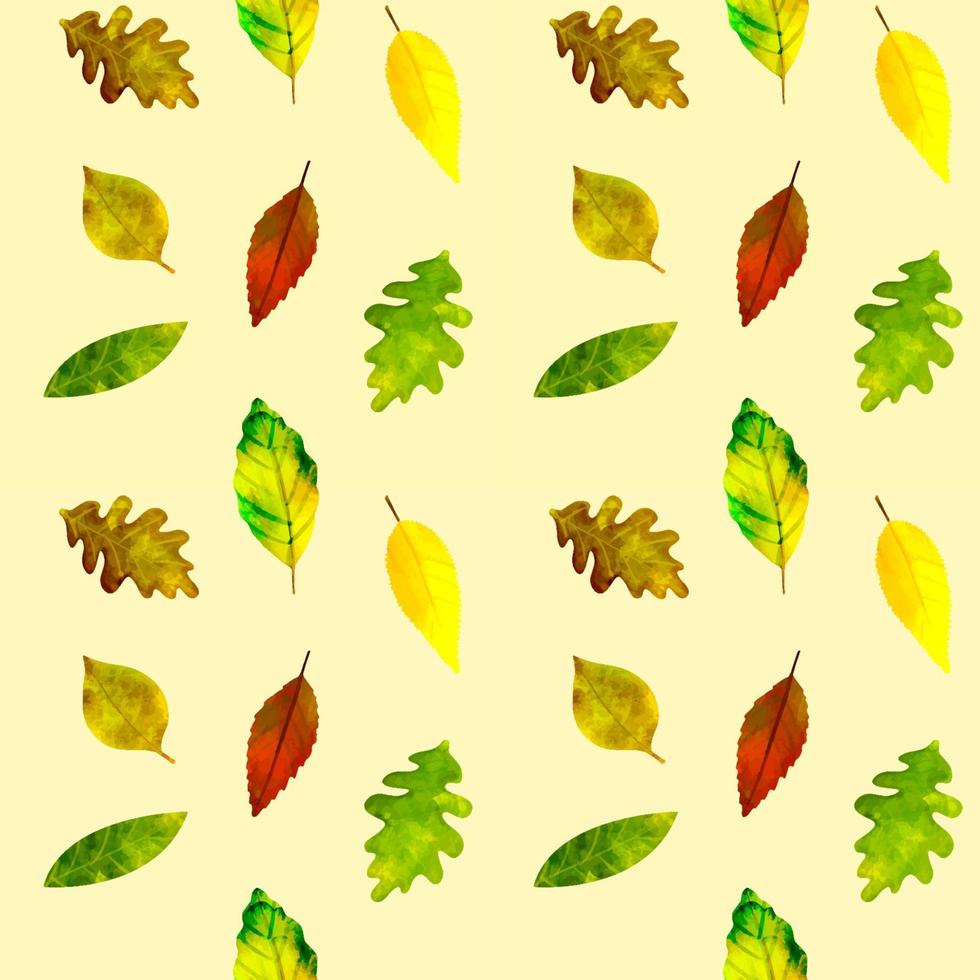 hojas de otoño de ilustración botánica de patrones sin fisuras sobre un fondo amarillo claro vector