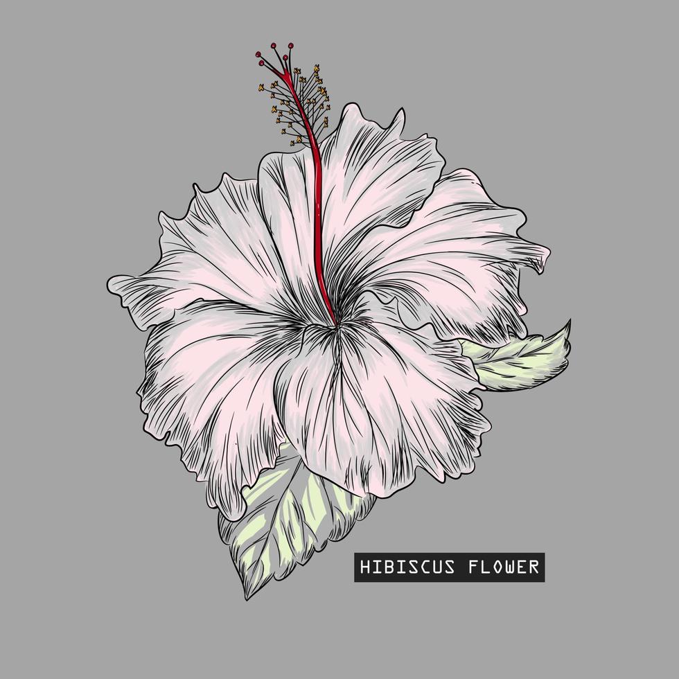 Vector illustration Hibiscus Flower hand drawn