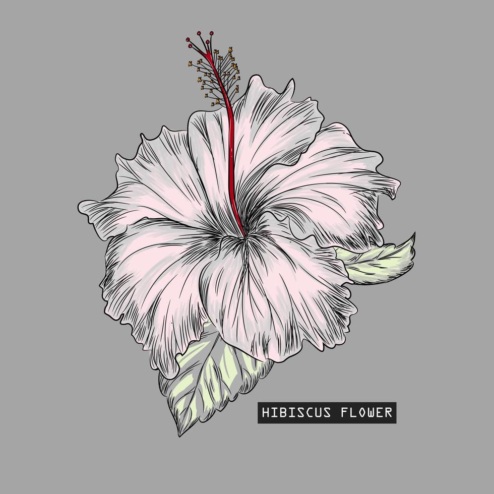 dibujado a mano ilustración vectorial flor de hibisco vector