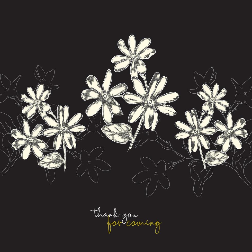 jasmin flower black and white color hand drawn vector illustration