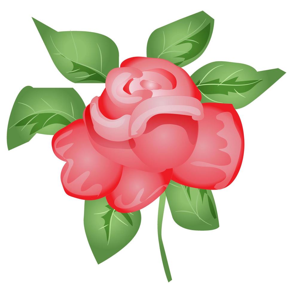 ilustración de flor rosa vector