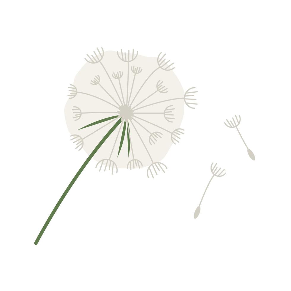 Dandelion flat icon vector