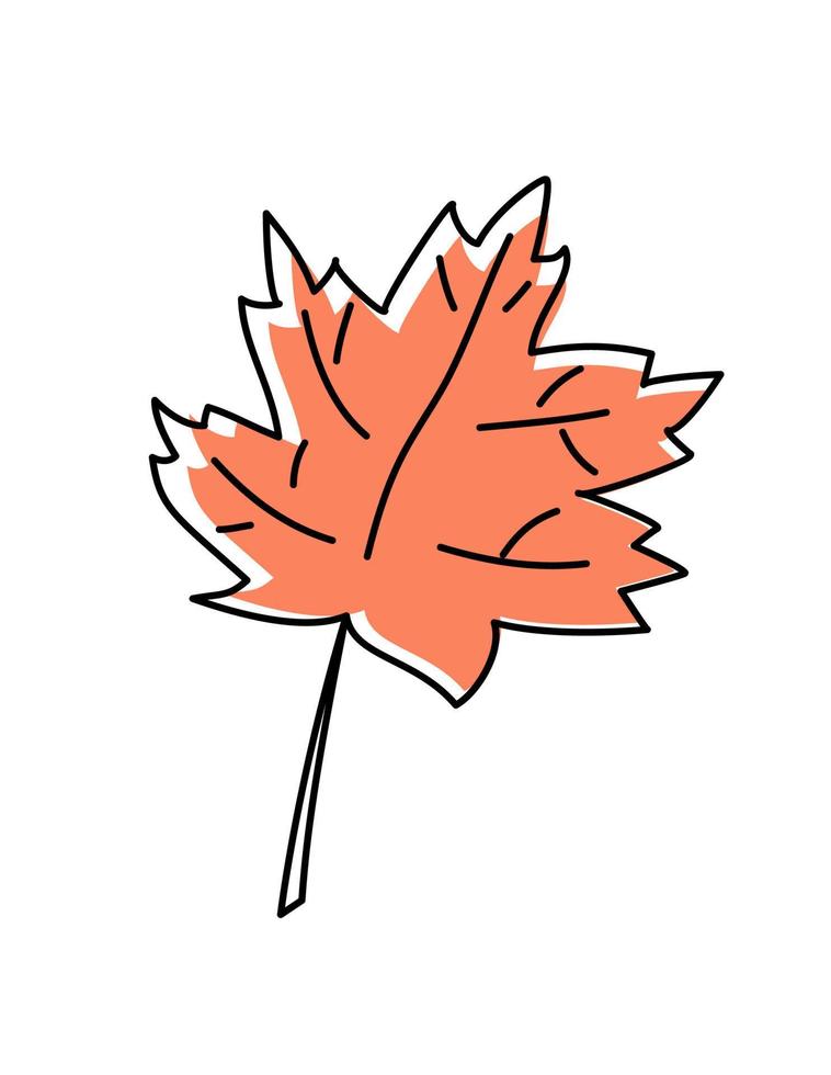 Doodle line drawing vector simple maple autumn leaf. Fall hand drawn botanical sketch. Modern minimalist art. For poster, web design