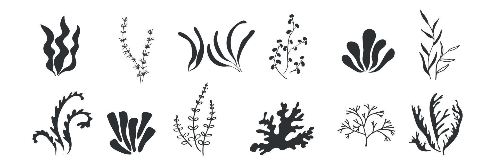 Seaweed silhouette icons. Marine plants, sea alga. Vector illustration