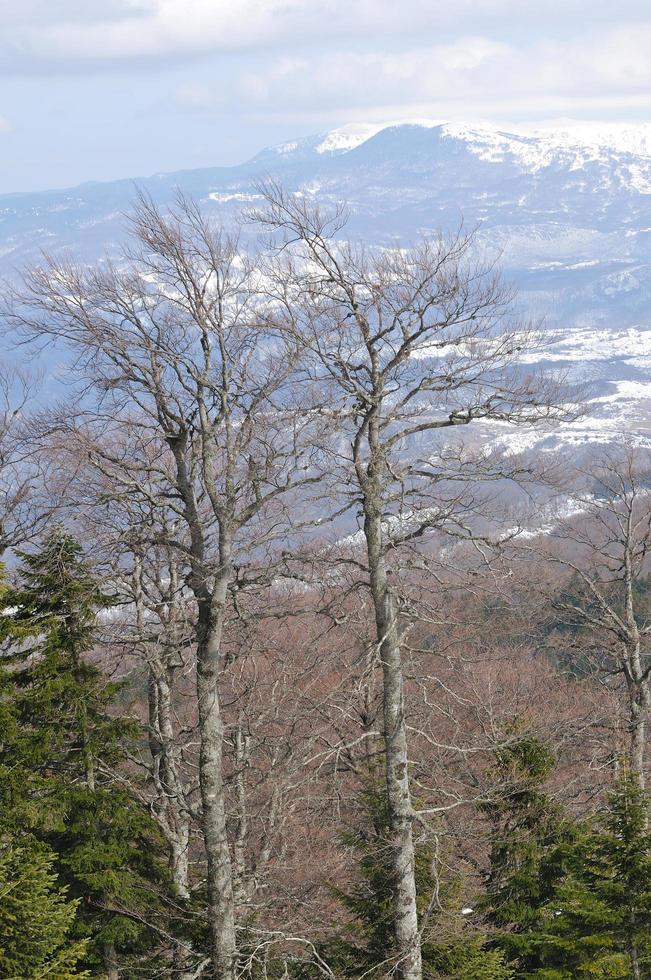 Winter landscape view photo