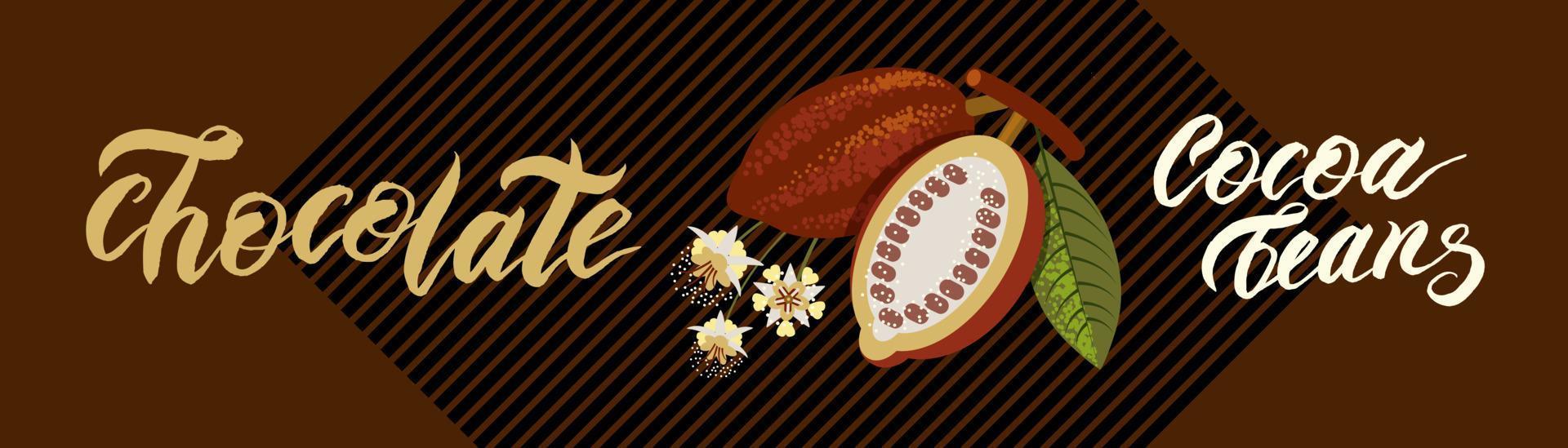 plantilla de dibujo de superalimento vectorial. grabado de frutas, hojas y frijoles. embalaje de chocolate de alimentos orgánicos saludables, pancarta de cacao, afiche, etiqueta. vector