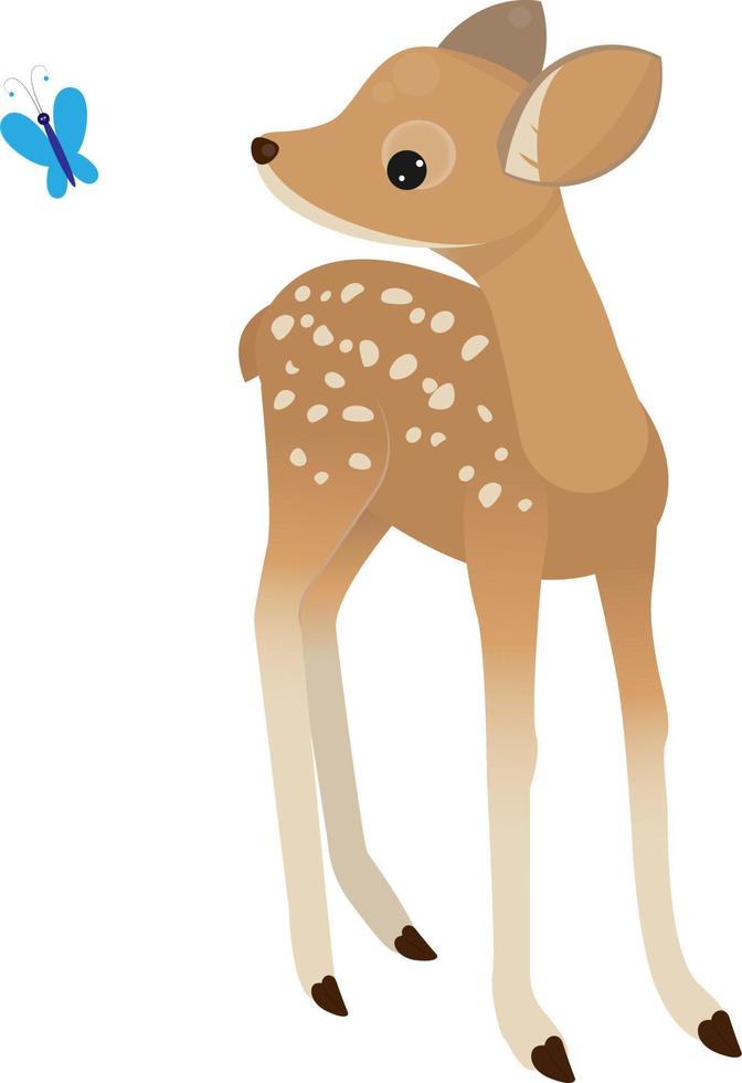 Fawn vector illustration