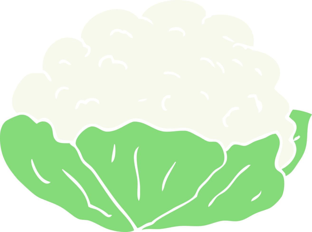 flat color illustration of cauliflower vector