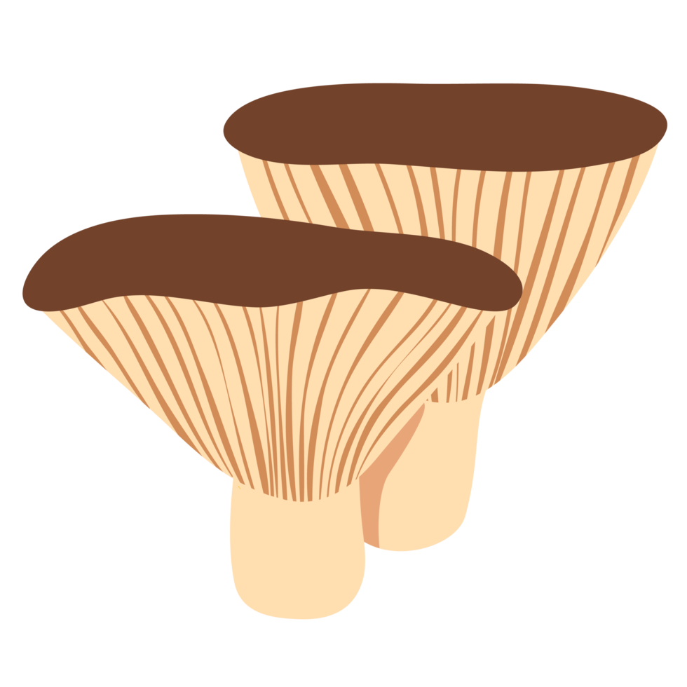 Veggie Mushroom Vegetable ATL png