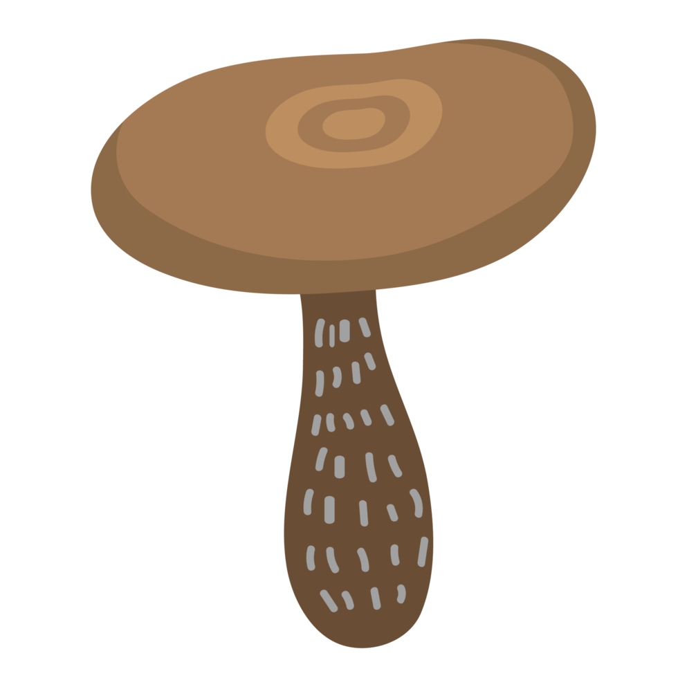 végétarien champignon légume atl png