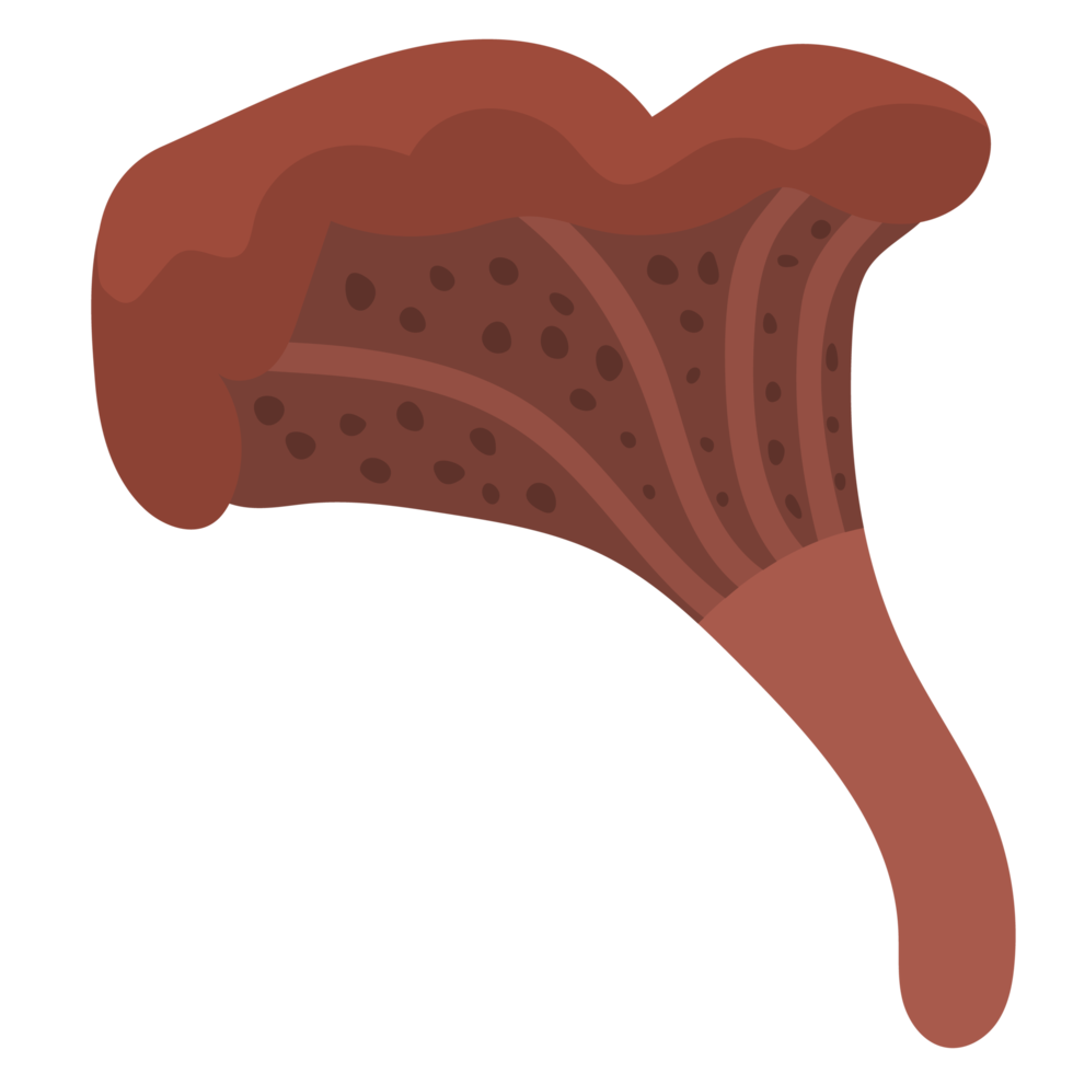 végétarien champignon légume atl png