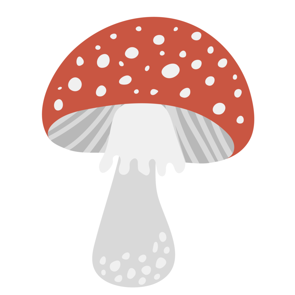 Veggie Mushroom Vegetable ATL png