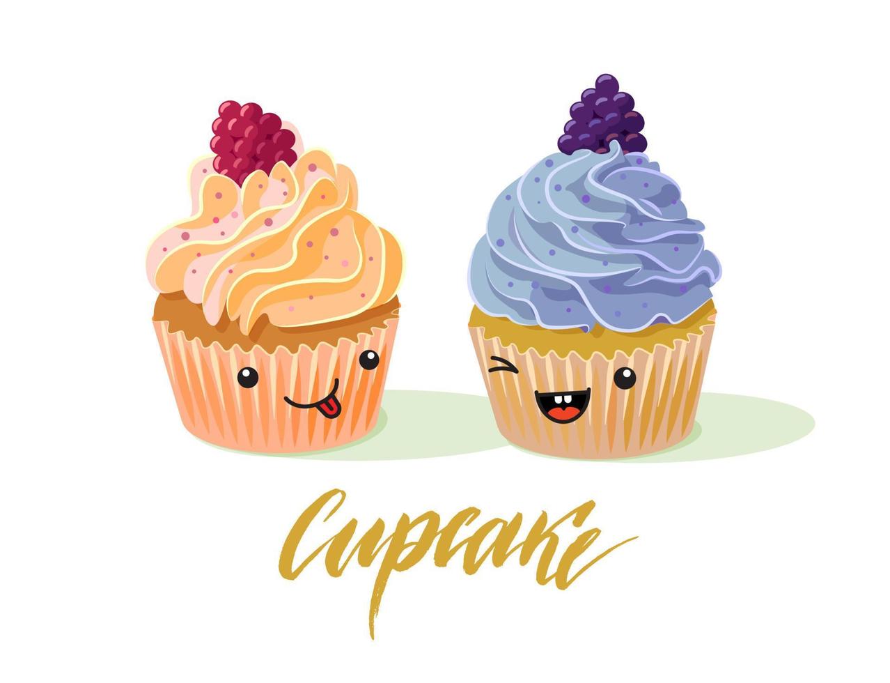 two cute cupcakes with raspberries and blackberries vector