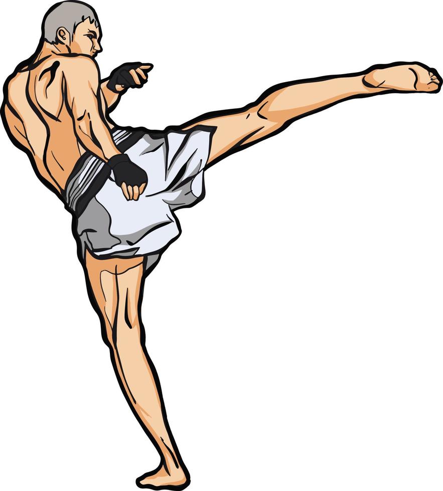 Muaythai kick boxing martial arts vector