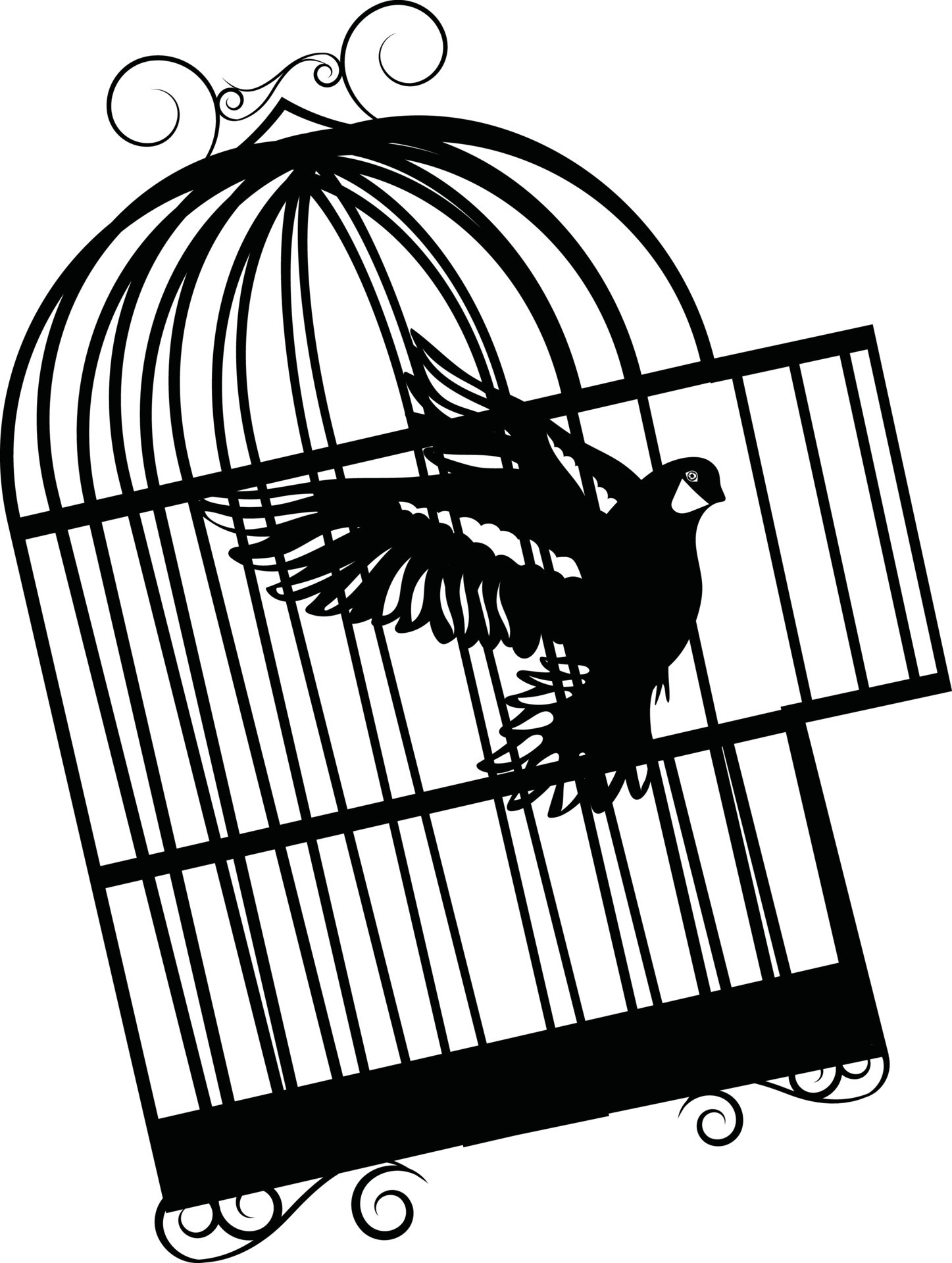 free the birds in Cage. Flying bird and cage. Freedom concept. Emotion