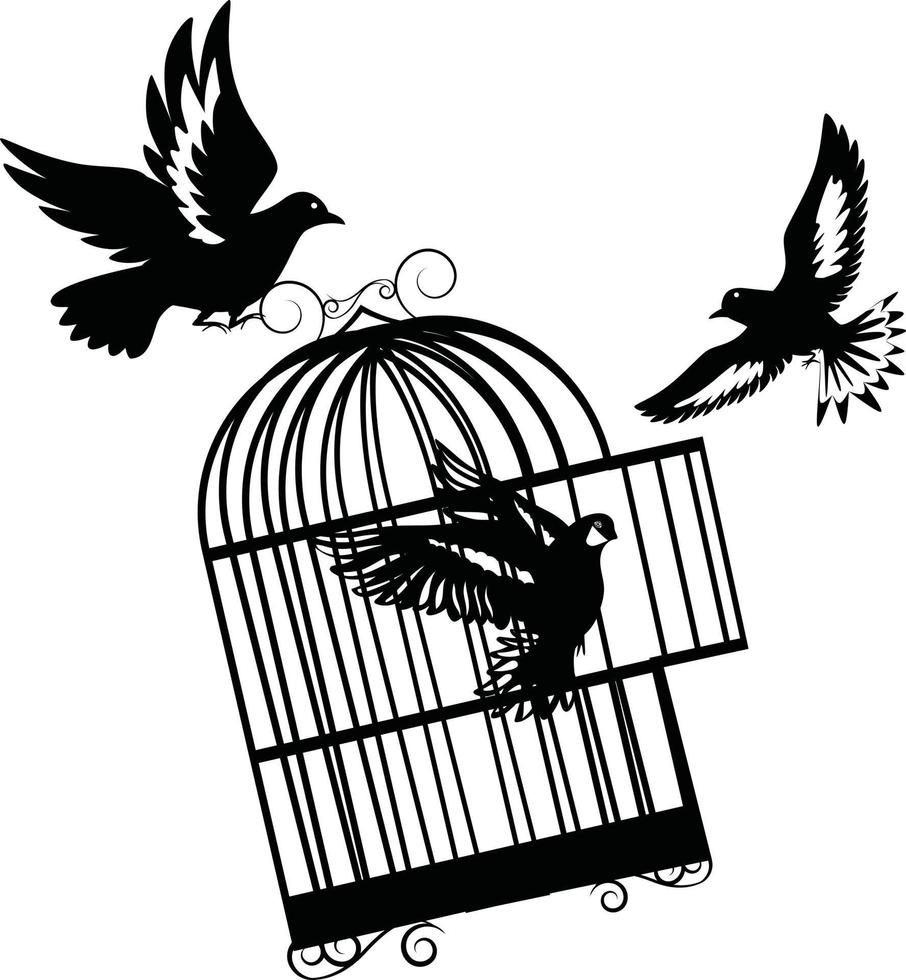 jaula para pájaros. liberar a los pájaros en jaula. pájaro volador y jaula. concepto de libertad. emoción de libertad y felicidad. vector