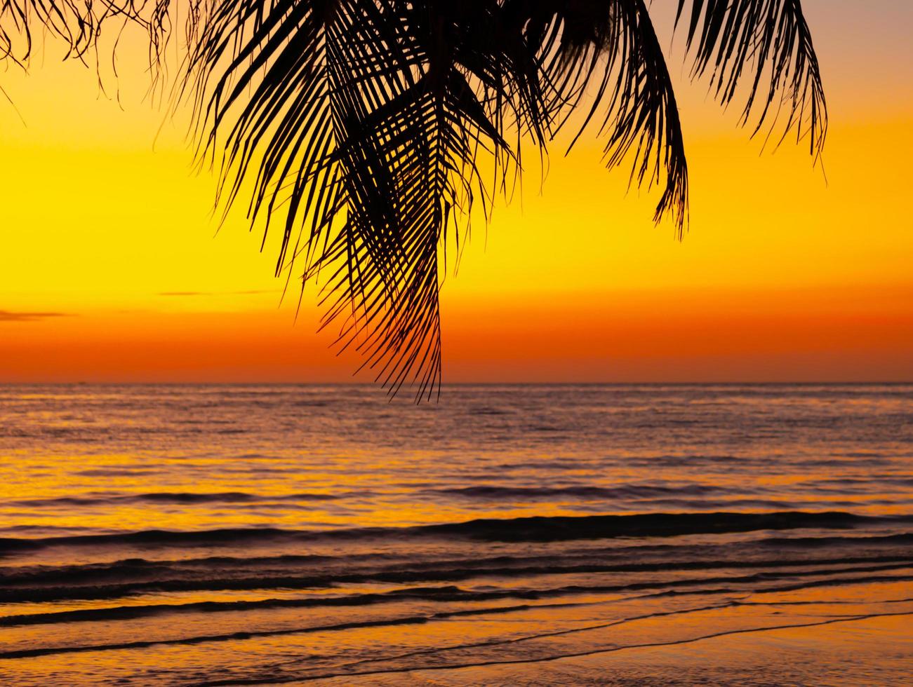 Palm tree on beach beautiful sunset Orange color on nature background photo