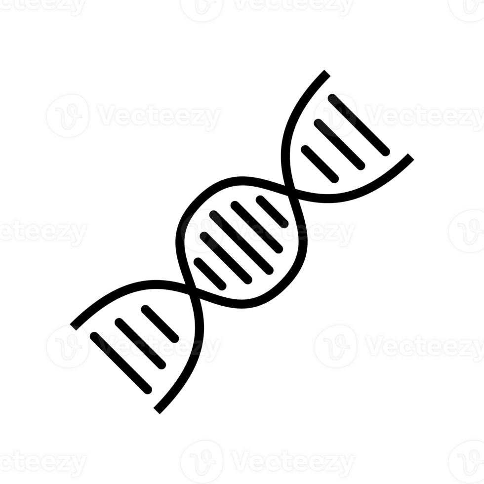 DNA in simple icon design. Laboratory stuff illustration in line art design. png