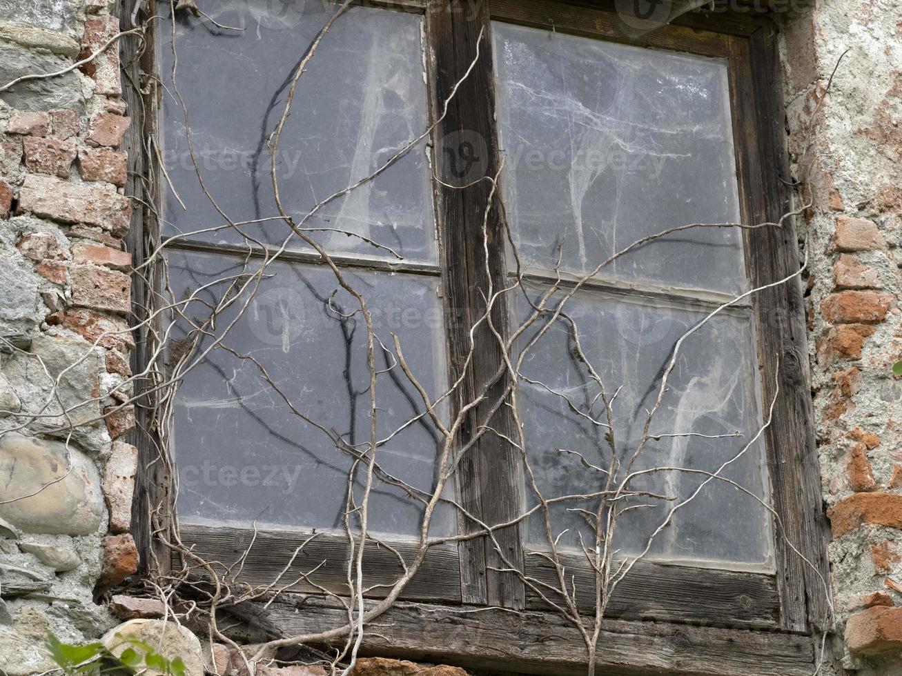 hiedra en la ventana de la casa vieja foto