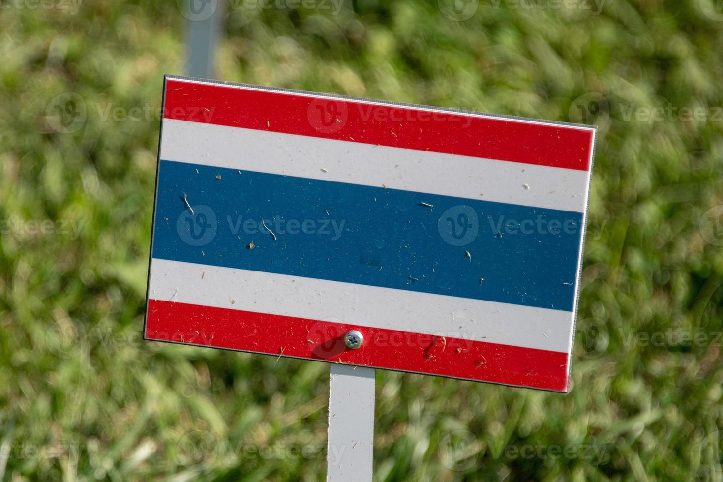 thailand flag isolated on green grass photo
