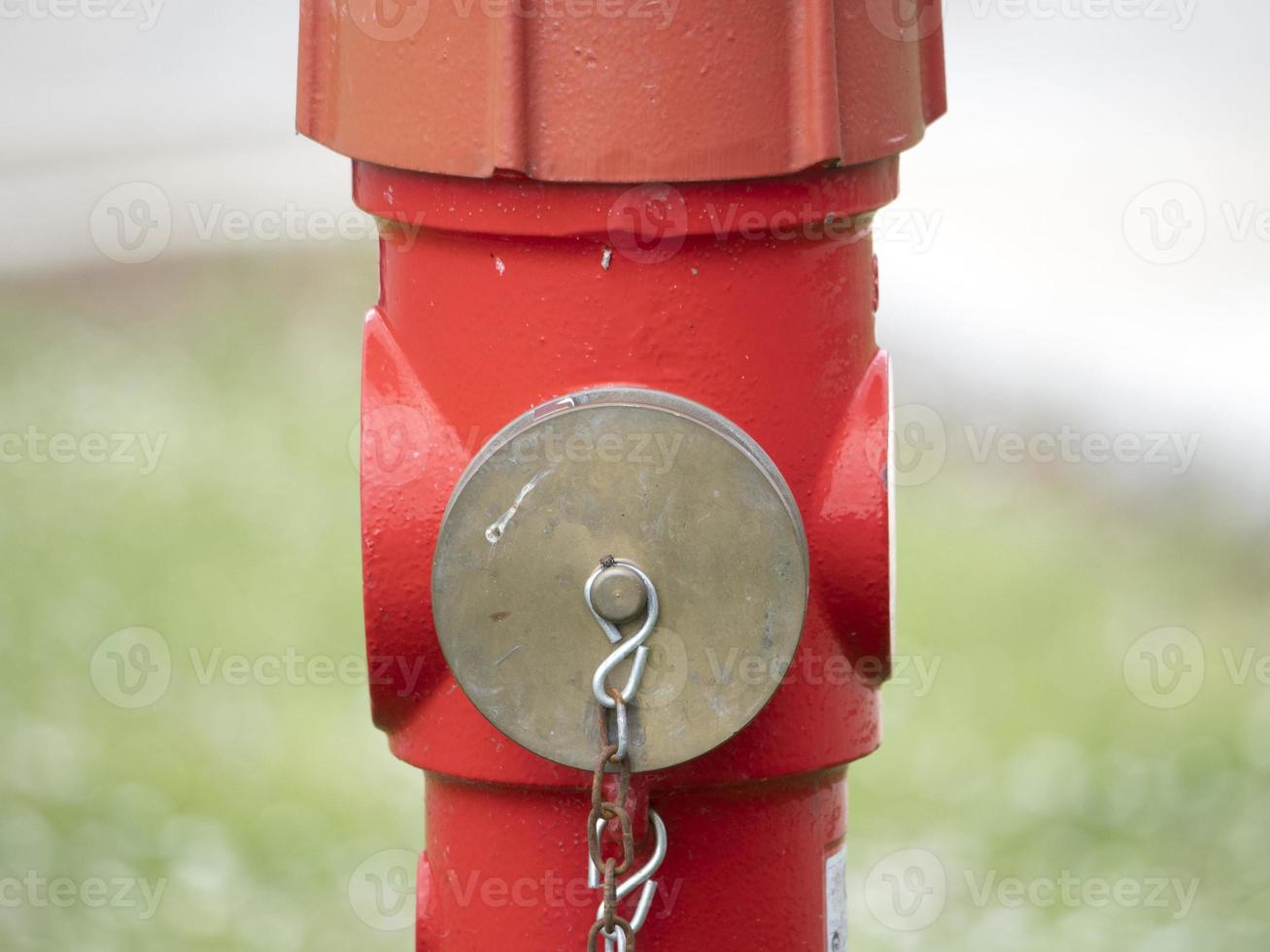 red hydrant isolated on grass background photo