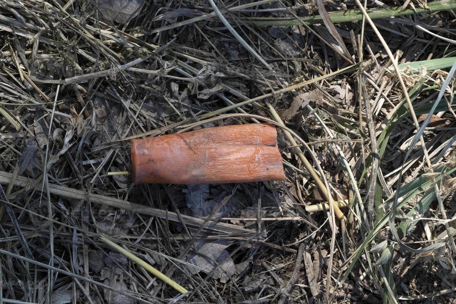 hunting gun plastic cartridge in the forest photo