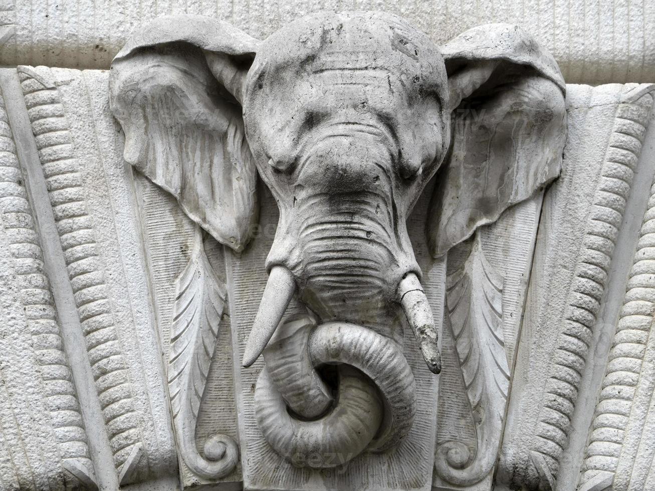 decoración de elefantes en un edificio foto