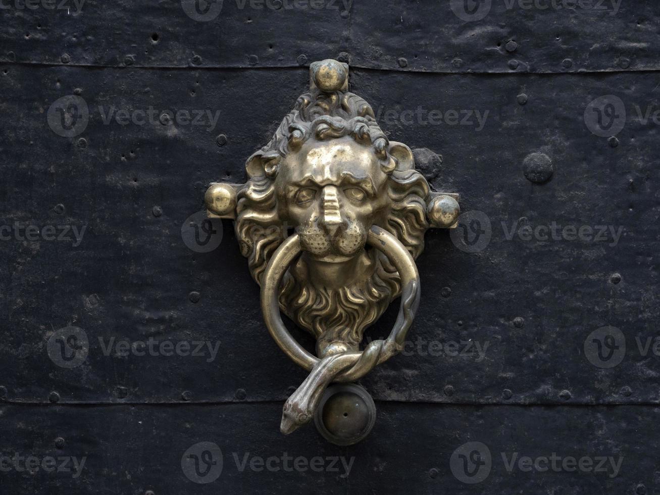 Graz austria gold door decoration lion and snake photo