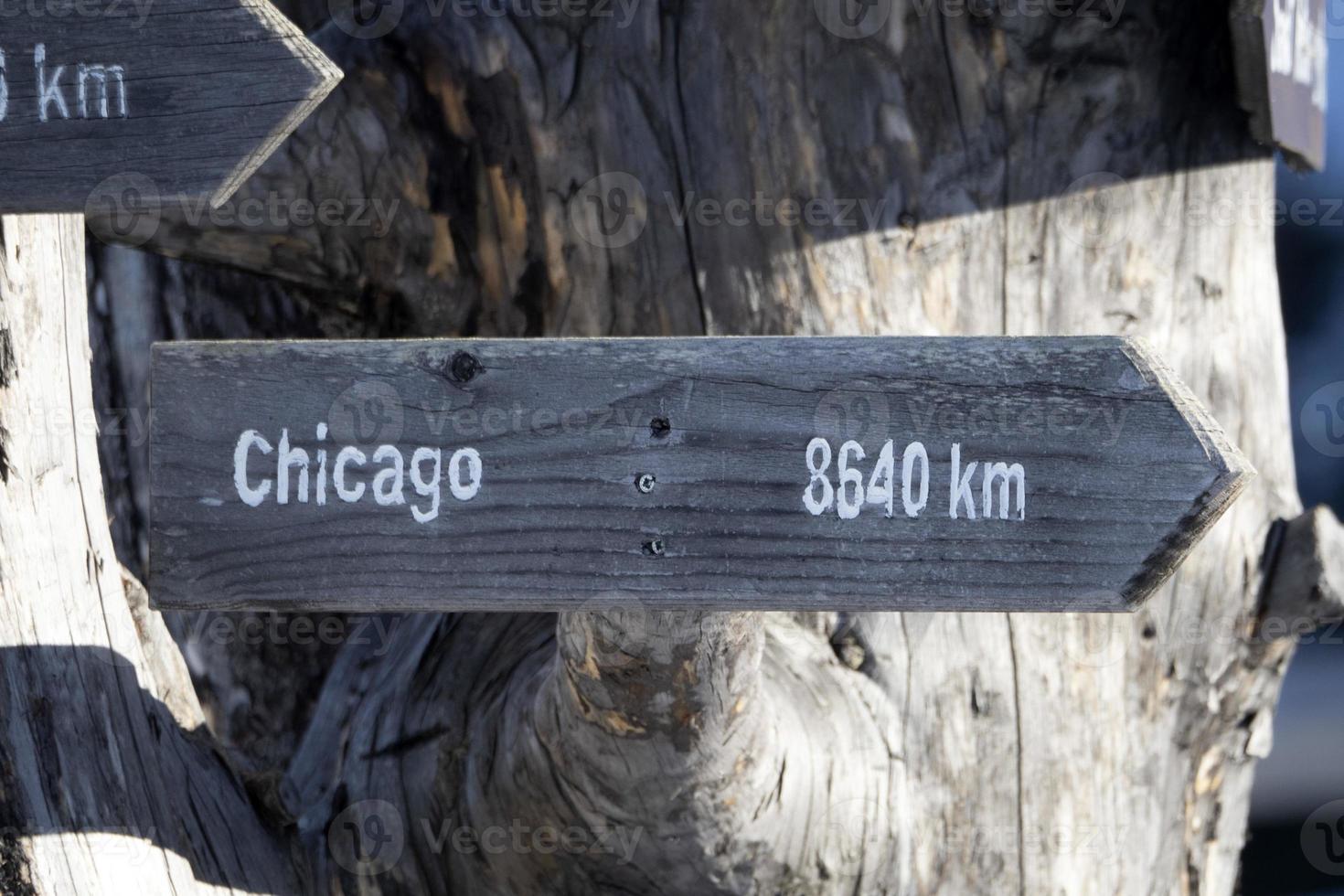 Chicago distance wood sign on dead tree photo