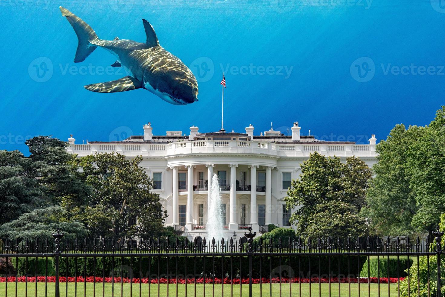 White House building in Washington DC on cloudy day photo