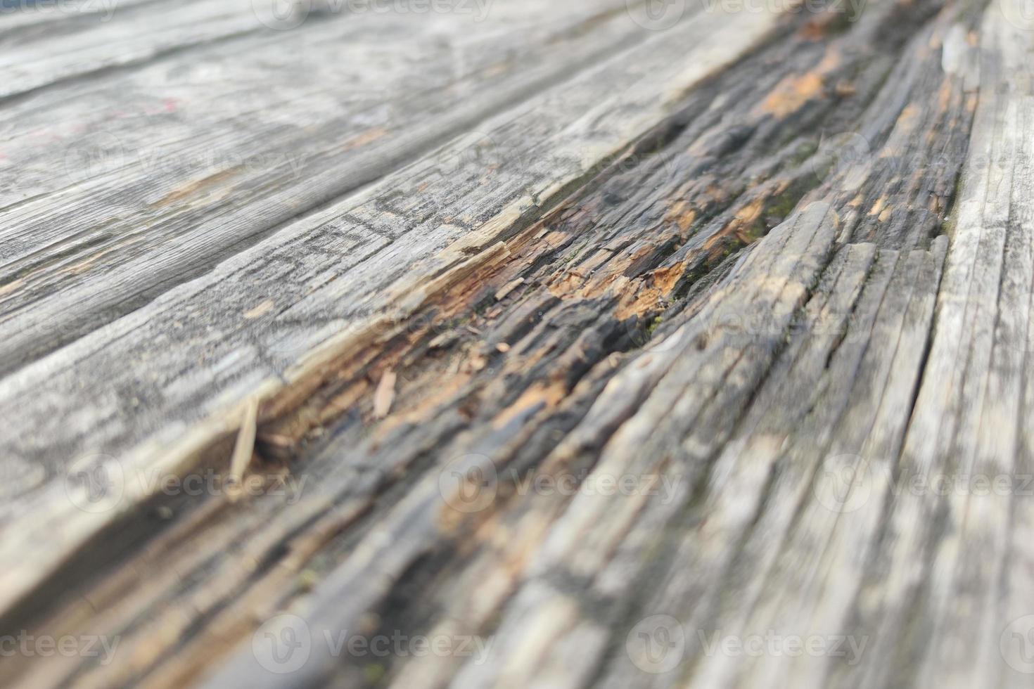 old scratched wood table detail photo