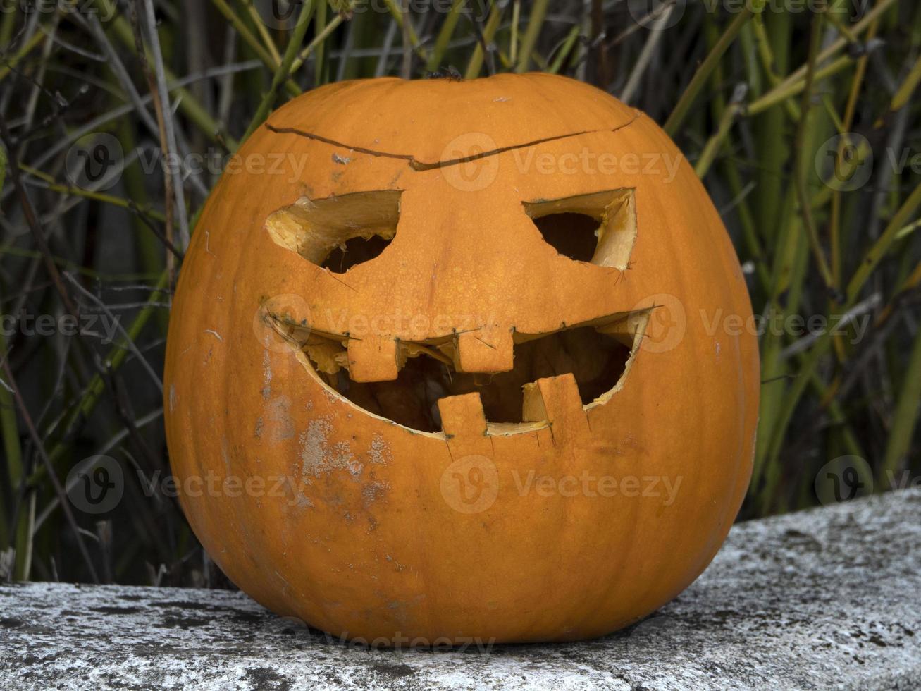 halloween natural carved pumpkin photo