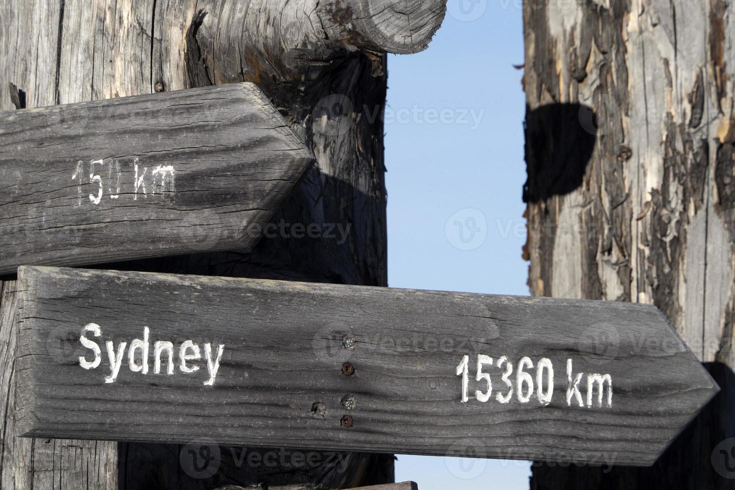 Sidney distancia cartel de madera en el árbol muerto foto