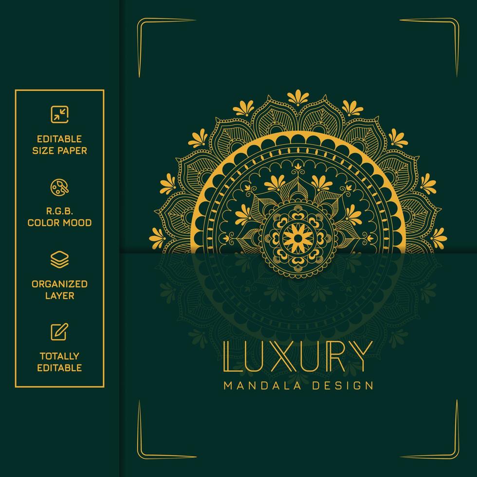 Top luxury colorful mandala background with arabesque pattern vector