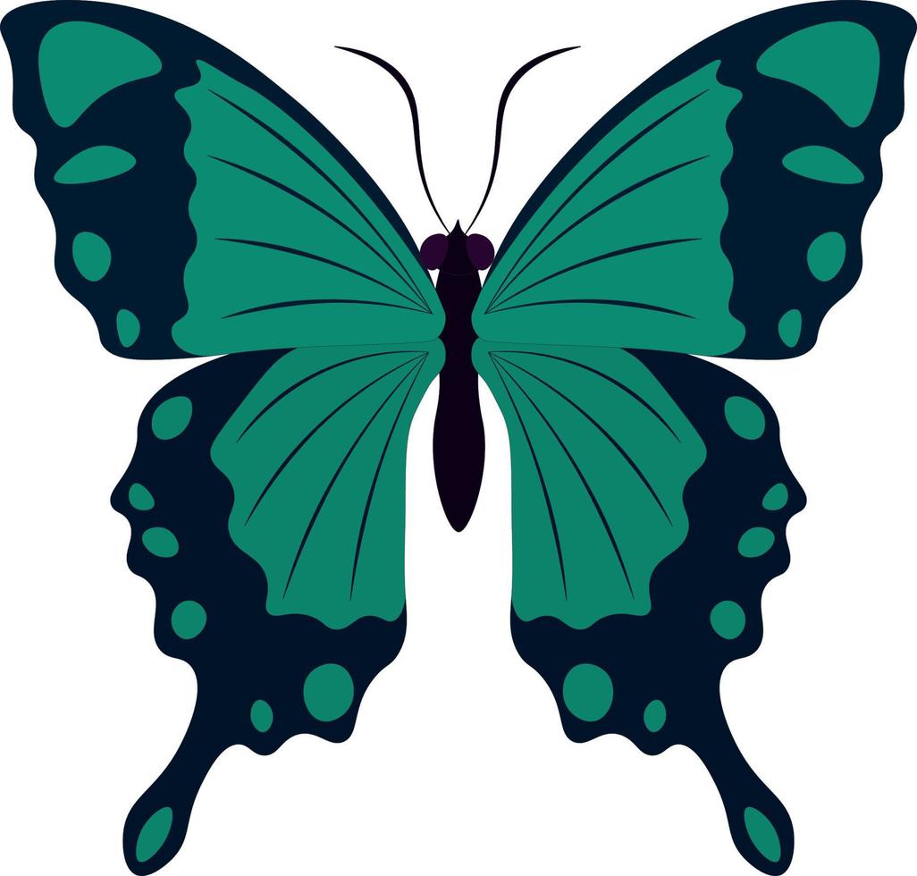 Ilustración de vector de mariposa agradable de colores negro y turquesa