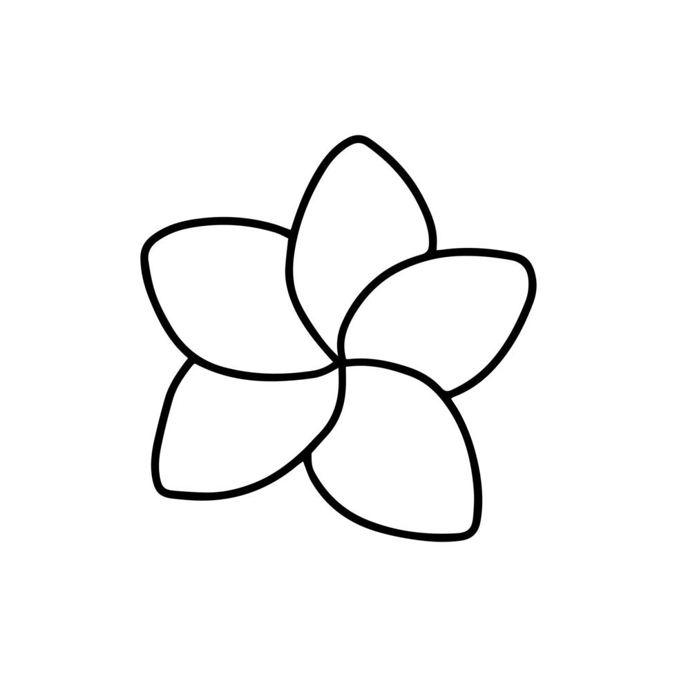 Doodle plumeria flower illustration. Vector hand drawn tropical plumeria
