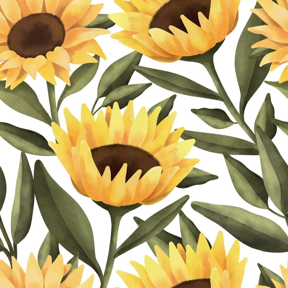 Watercolor seamless pattern of sunflower and leaves. Hand painted floral illustration isolated on white background. vector