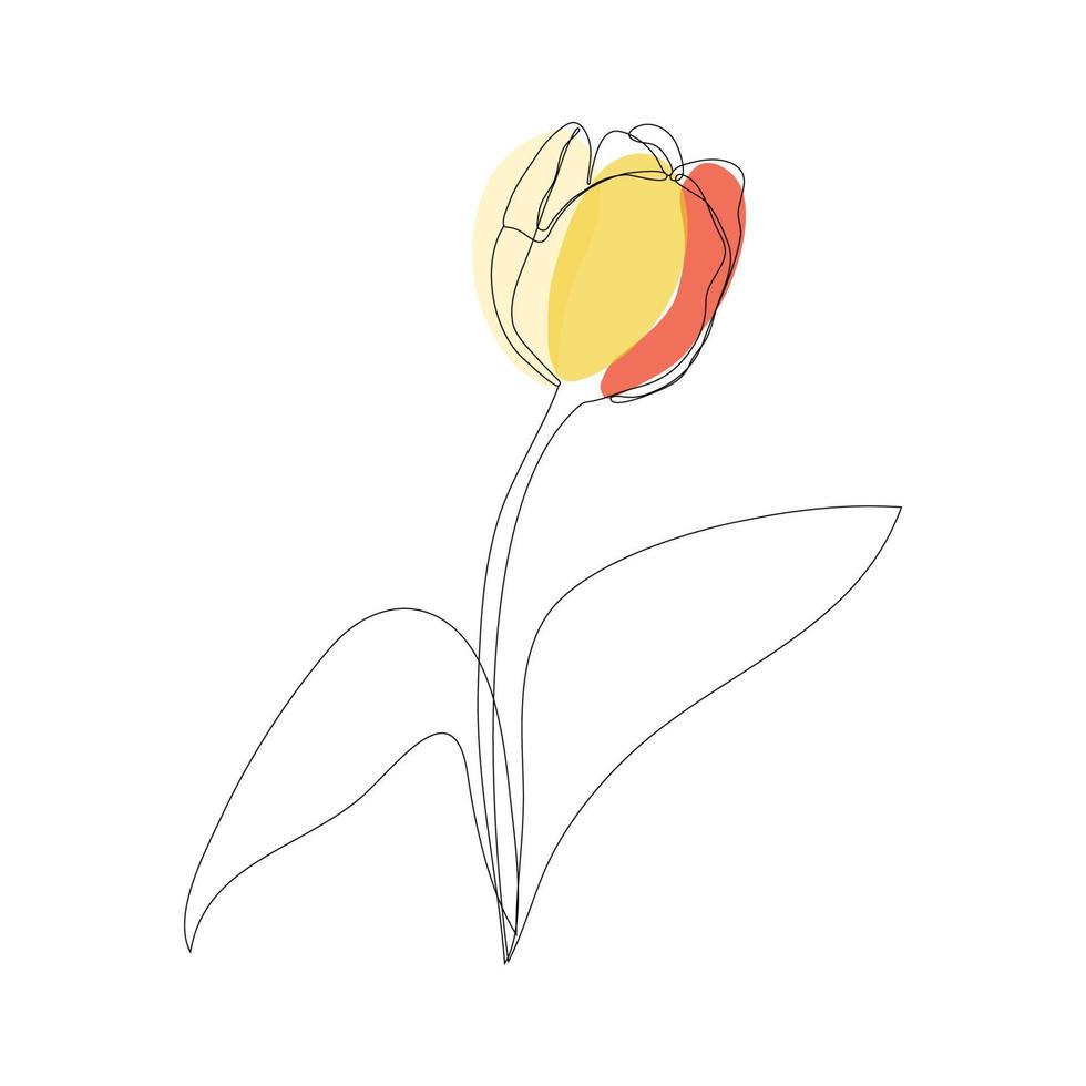 Beautiful blossoming tulip flower in continuous line art drawing style. Minimalist black linear sketch isolated on white background. Vector illustration.