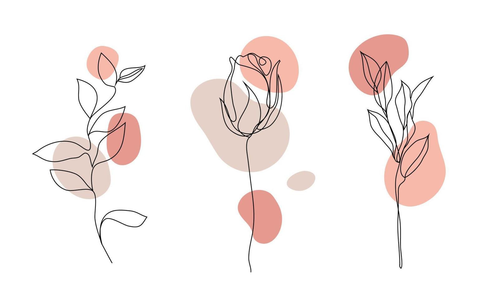 Vector set of hand drawn, single continuous line flowers - roses , leaves sketch. Art floral elements. Use for t-shirt prints, logos, cosmetics