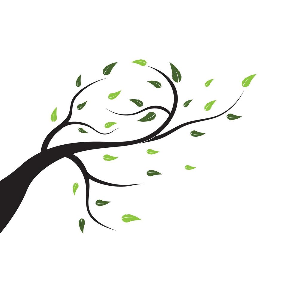 tree branch logo vector