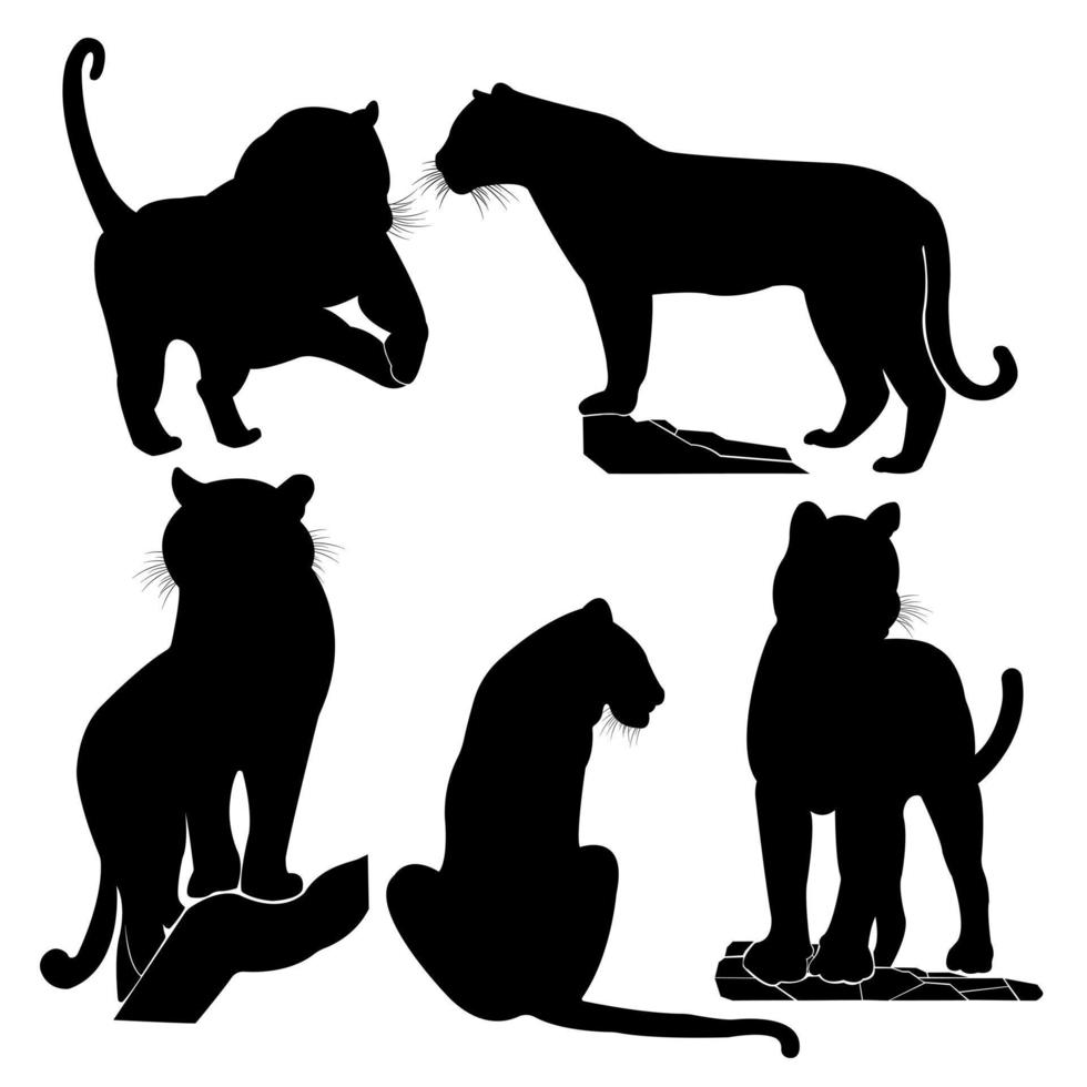 A set of tiger vector silhouettes isolated on a white background.