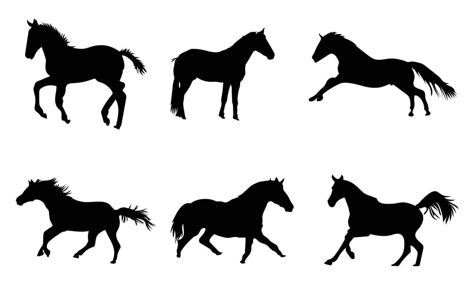 Collection of horses silhouettes set  on white background vector