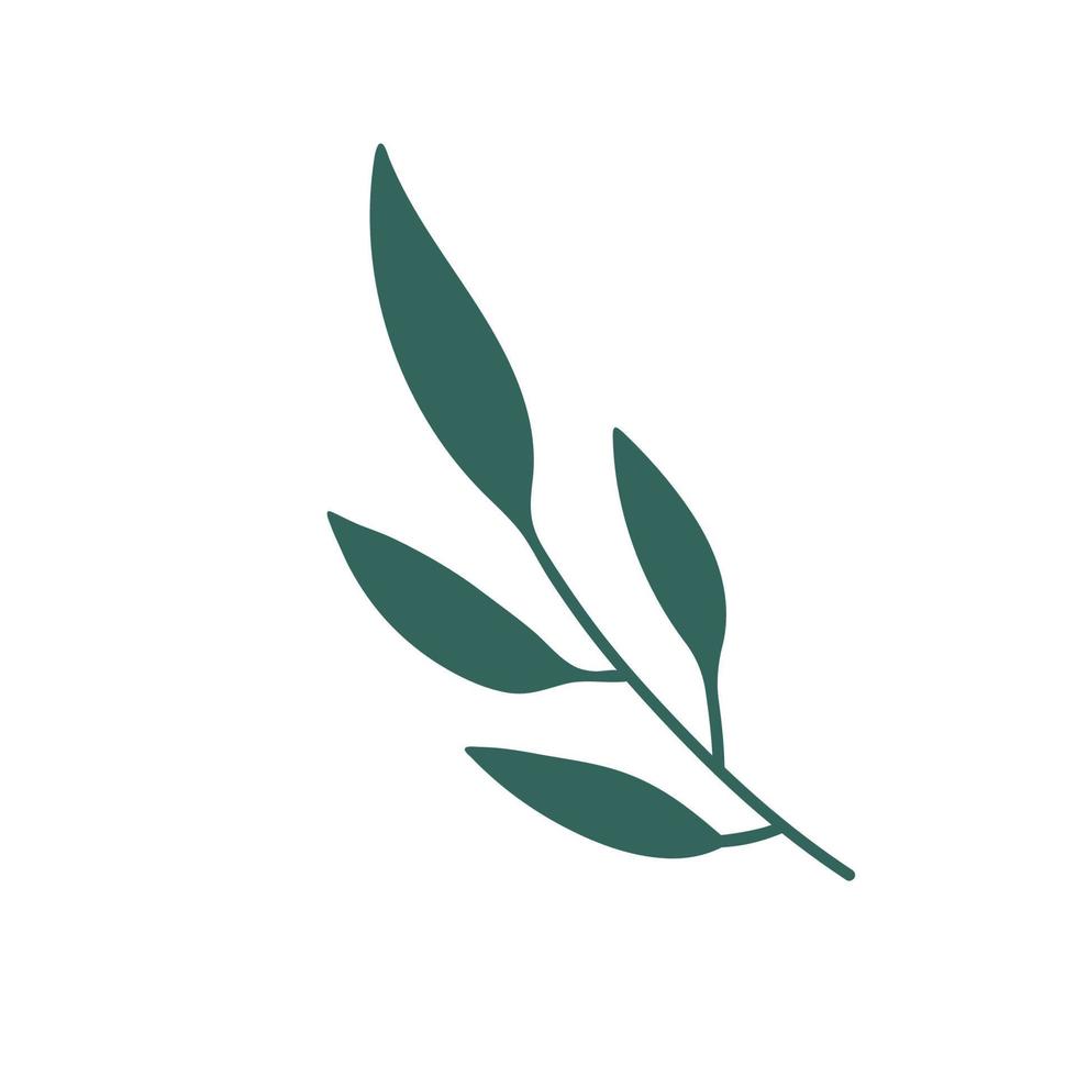 hand painted leaves for decoration in minimalist style vector